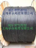 上海卓众电线电缆