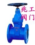 弹性软密封闸阀RVCX
