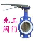 衬氟蝶阀