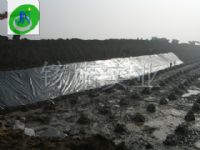 防渗膜（水产养殖防渗工程）