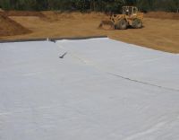 GCL-NP钠基膨润土防水毯