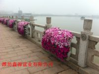中国护栏绿化用花盆：护栏绿化市场最新行情