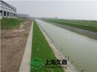 东莞现浇绿化混凝土